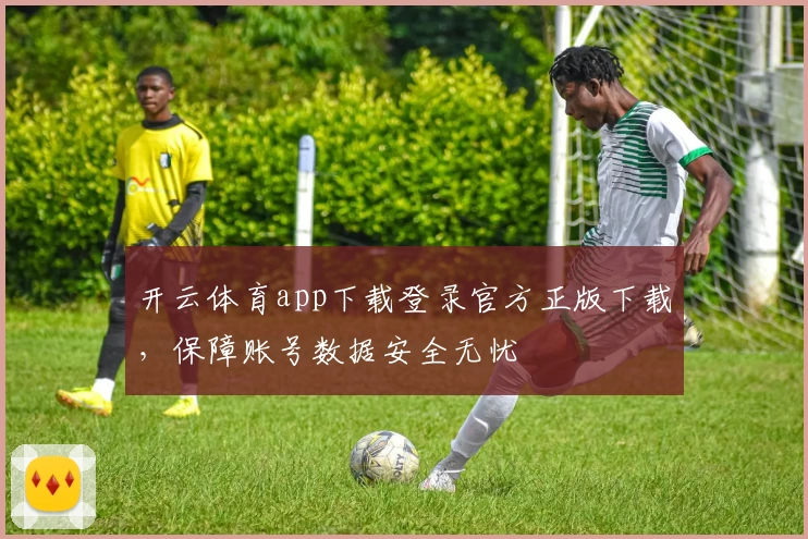 开云体育app下载登录官方正版下载，保障账号数据安全无忧
